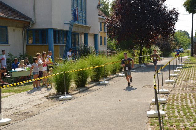 Falunap 2017
